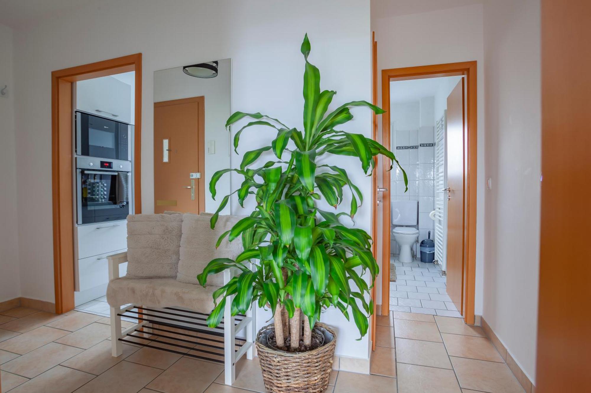 Exclusive 2-Room-City-Apartment - Contactless Check-In Hannover Dış mekan fotoğraf